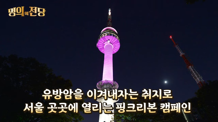 핑크리본-캠페인