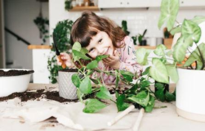 스킨답서스 공기정화 효과