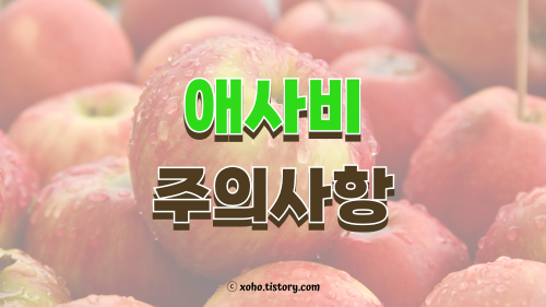 애사비 주요사항