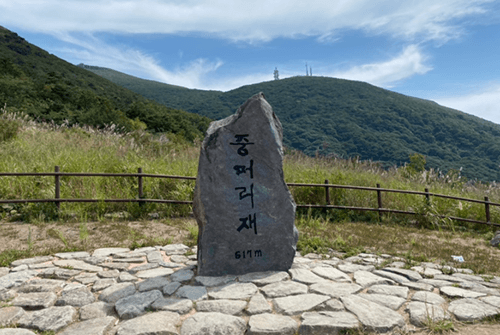 당산나무05