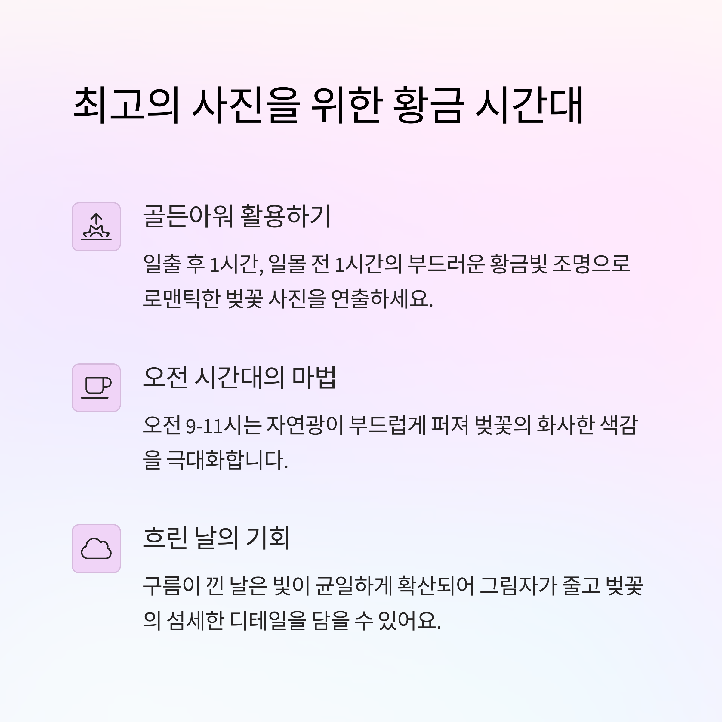 최고의 사진을 위한 황금 시간대