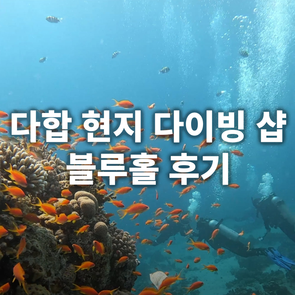 블루홀 다이빙