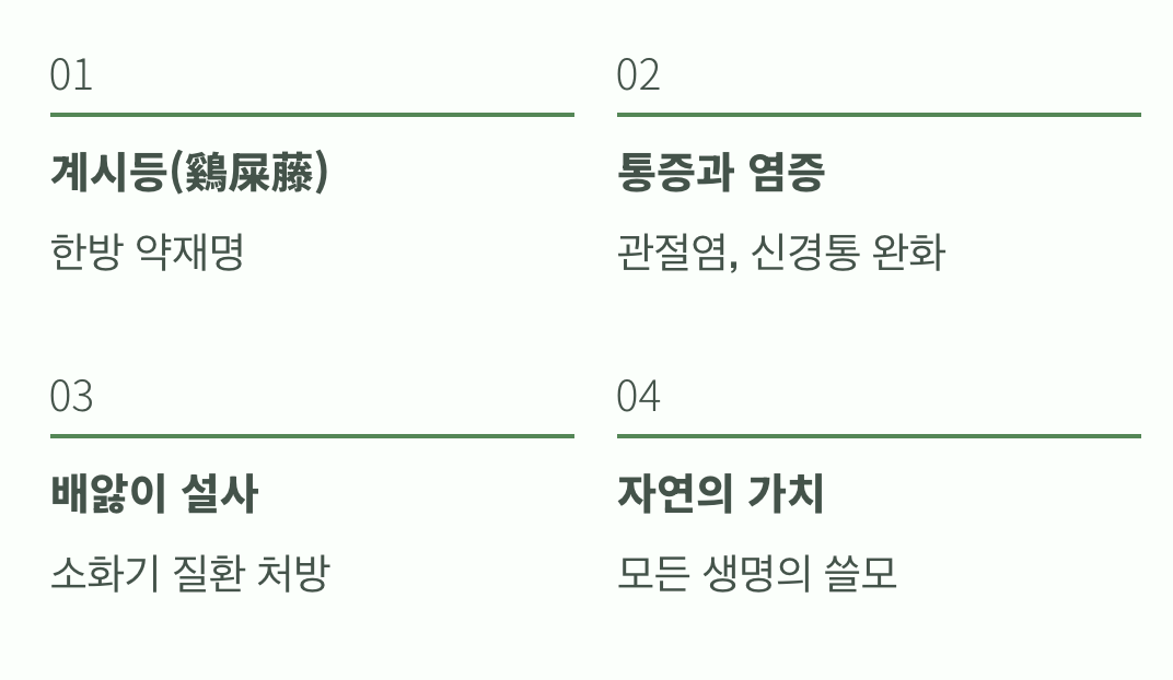 약으로 쓰인 냄새 나는 풀