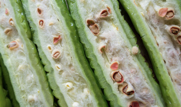 고혈압&amp;#44; 당뇨 잡아주는 여주 효능 총정리 (최신)