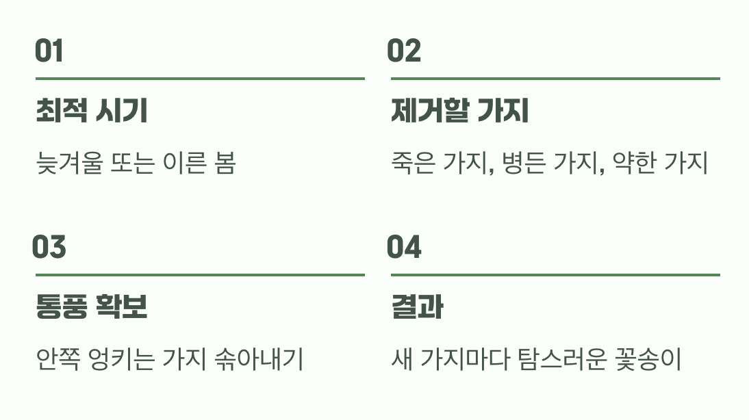 넘치는 생명력을 다스리는 지혜, '가지치기'