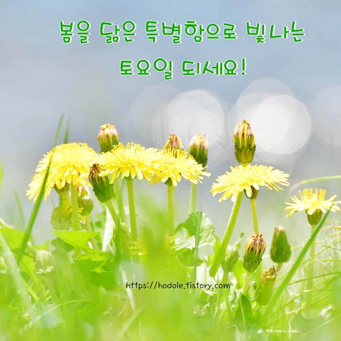 안부인사 이미지