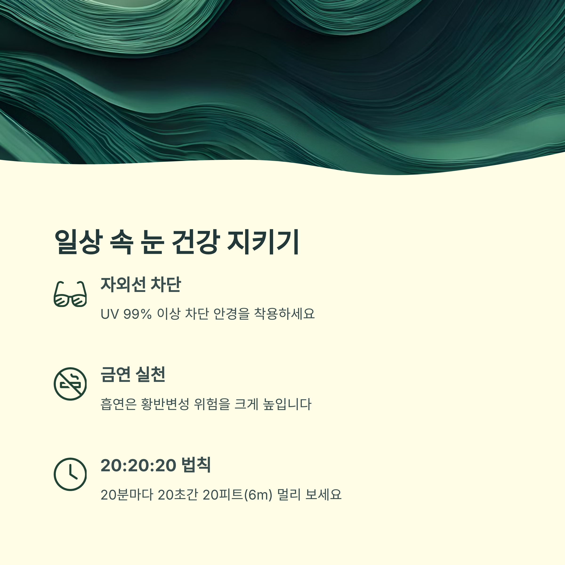 근시성 황반변성 관리법4