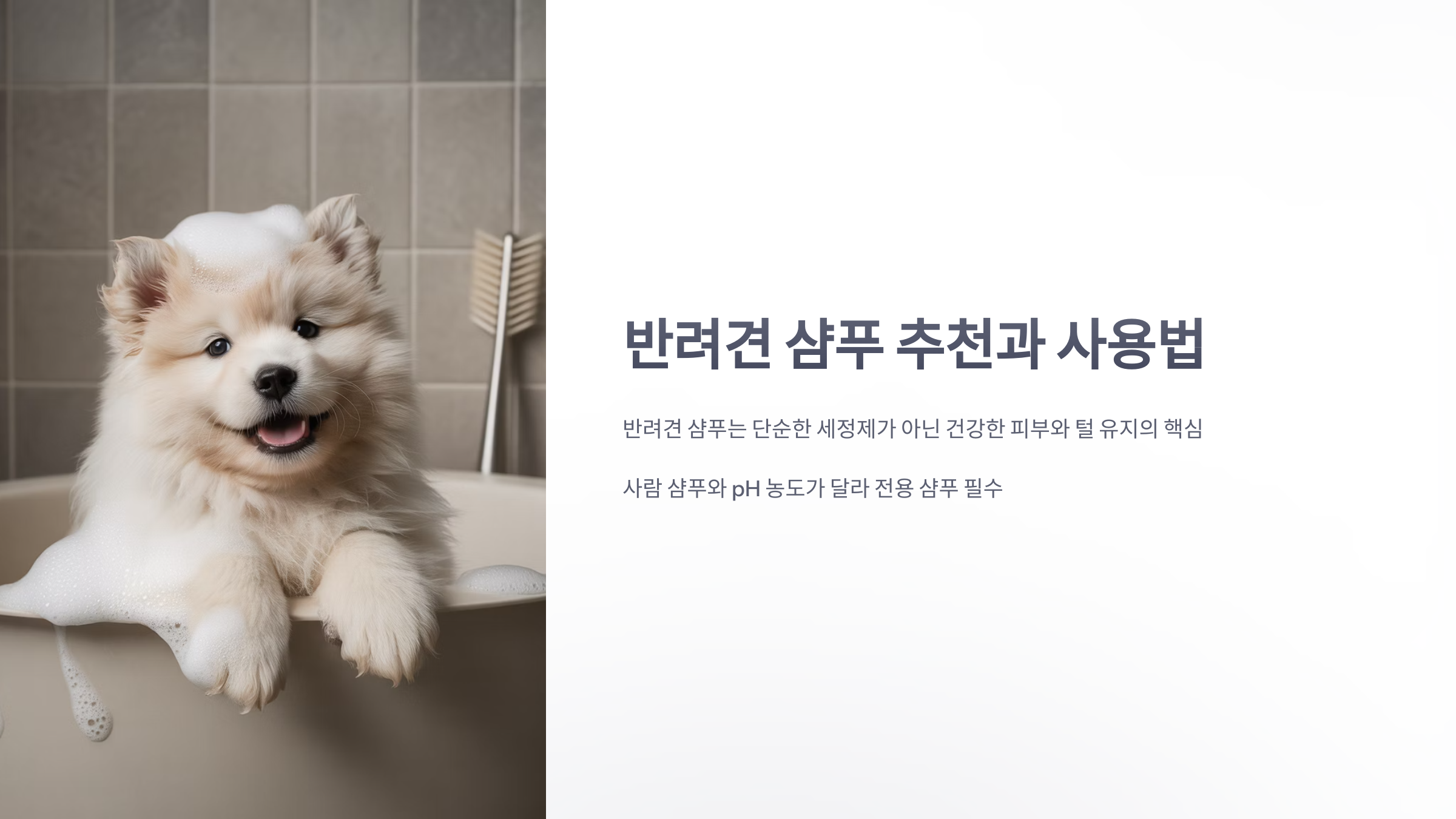 참조-반려견-샴푸-1
