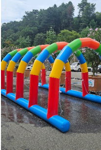 2025 광복 80주년 기념 홍천 나라꽃 무궁화 축제