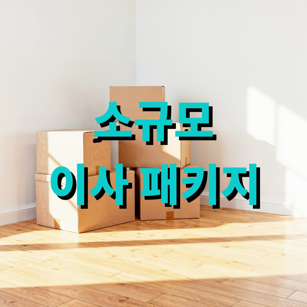 소규모 이사 패키지