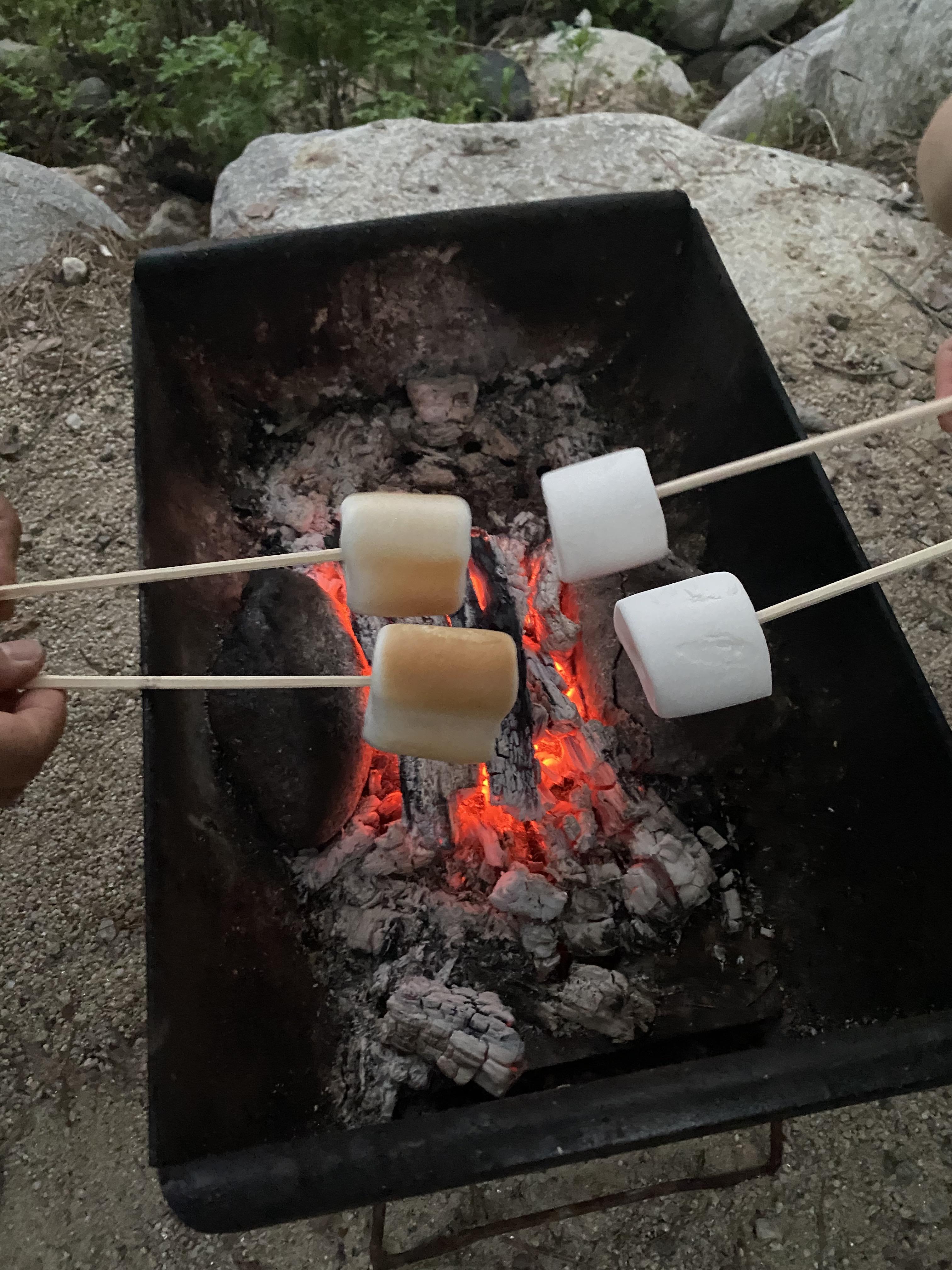 화롯대에-구워먹는-마시멜로우