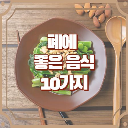 폐에 좋은 음식10가지 폐 건강 관련 Q&A 모음