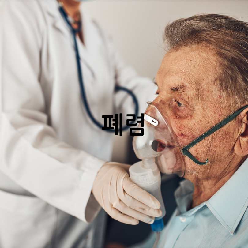 호흡기내과 진료과목