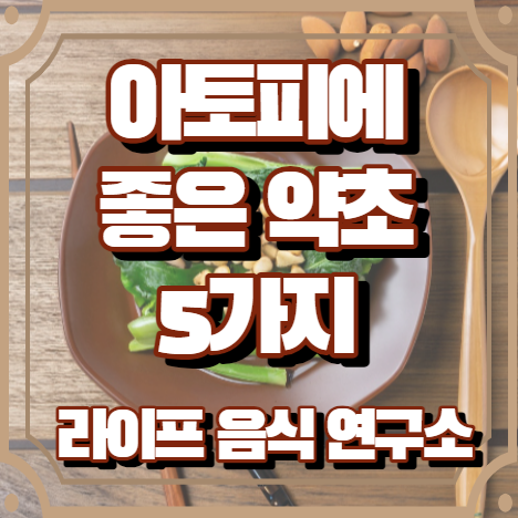 아토피에 좋은 약초 5가지