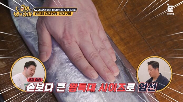 왕특대갈치