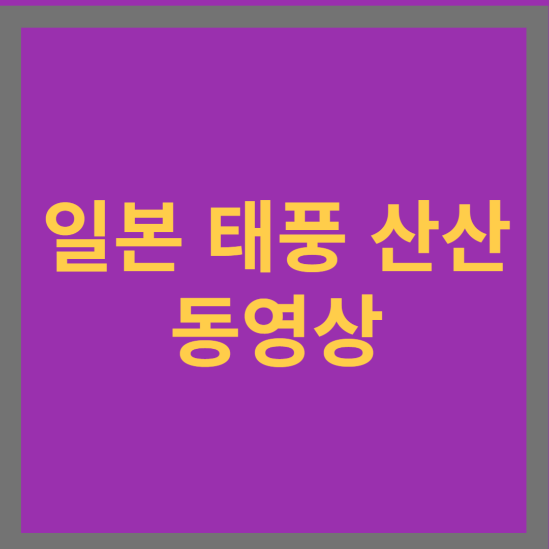 일본 태풍 산산 동영상