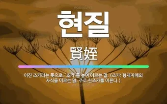 호로자식 속담 뜻 유래 의미 어원_16