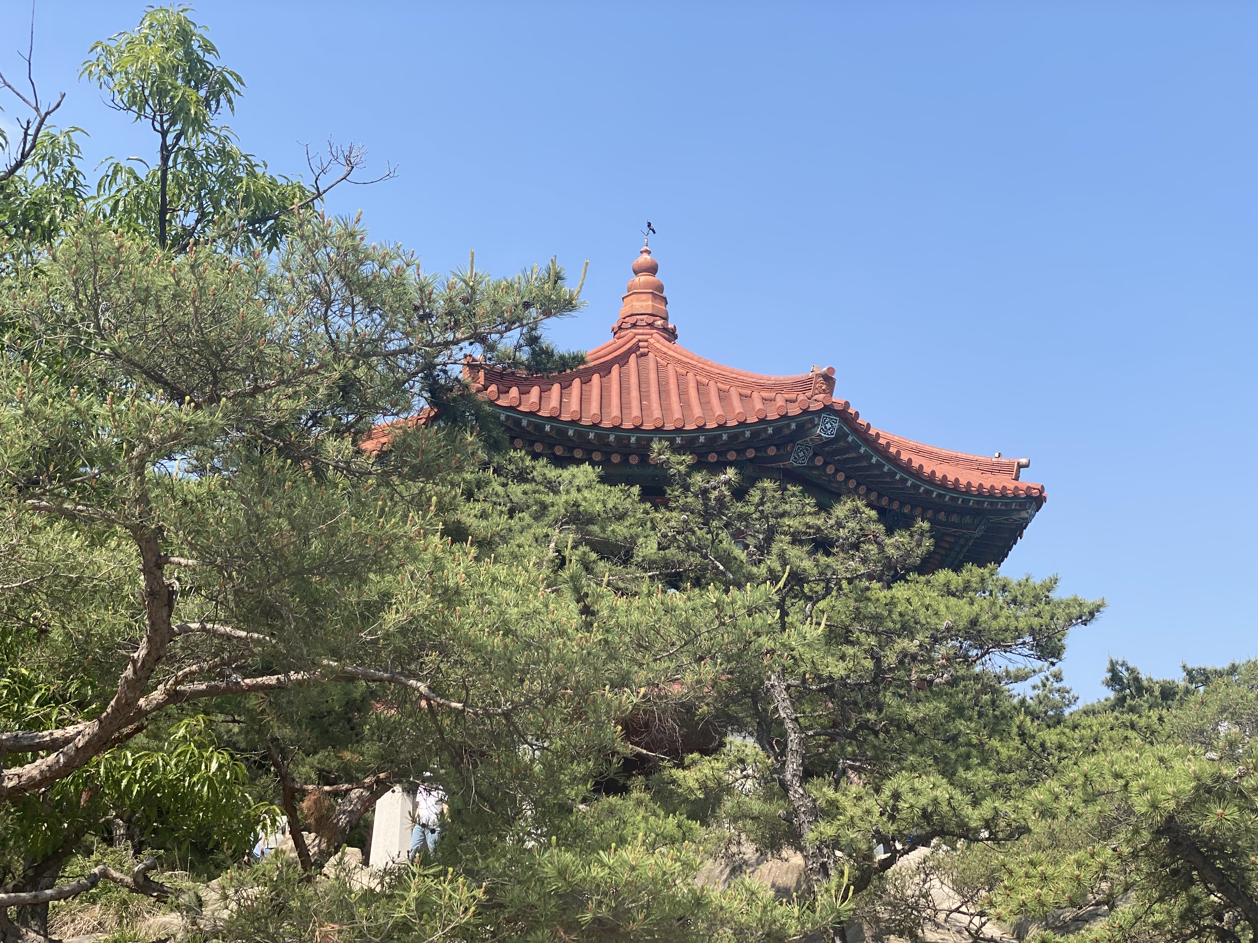 Alt 속성 문제 해결 설명 이미지