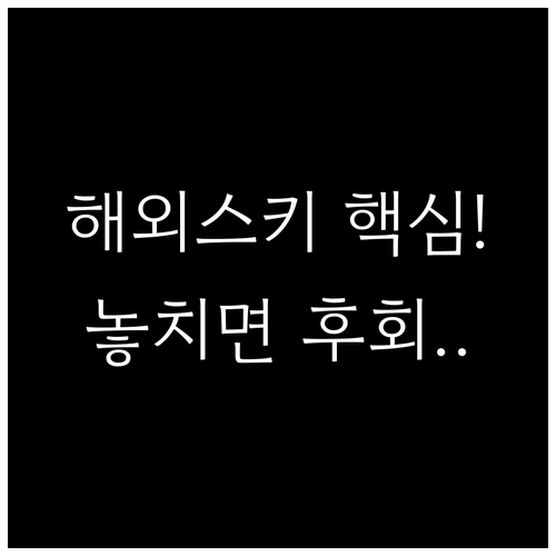 해외 스키/스노보드 여행자보험 필수 ..