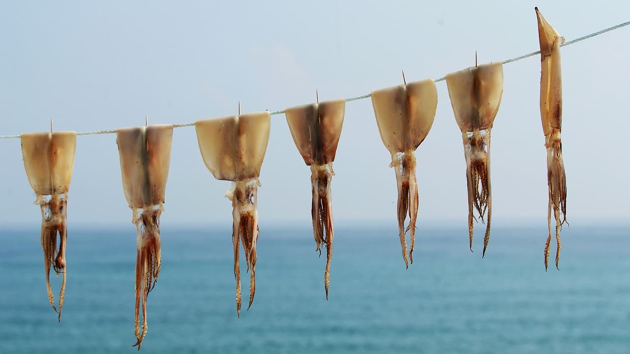 신안 섬 밴댕이 축제