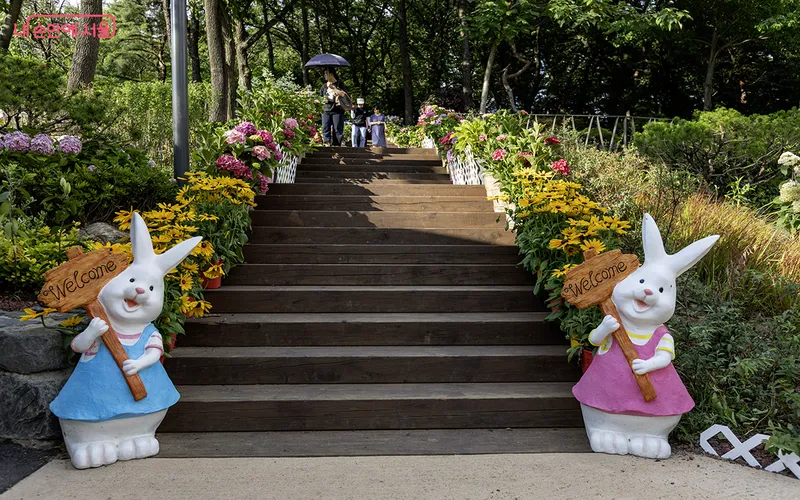 초안산수국동산