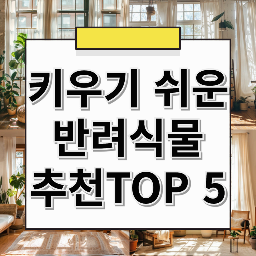 🌿 키우기 쉬운 식물 추천! 초보자도 실패 없는 반려식물 TOP 5