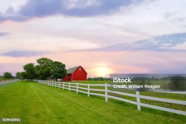 지적도 무료 열람 발급 방법 정부24 이용