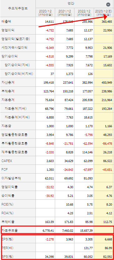 LG에너지솔루션 재무제표