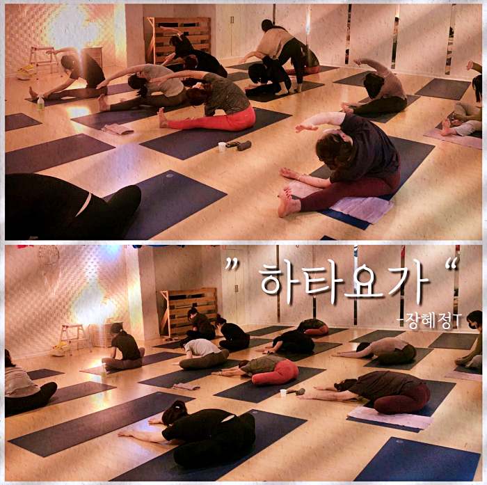 OBS 어서옵쇼 내몸의 기둥, 속근육, 코어근육 강화 소개 방송