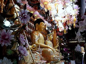 백중날 2025 날짜 언제 뜻 속담 백중사리 뜻 부처꽃 꽃말 풍속 총정리 1