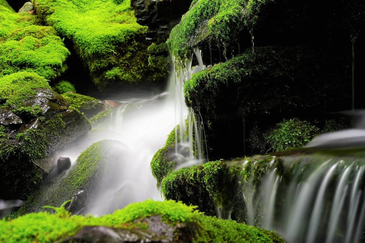 울쎄라 리프팅, 꼭 필요한 시술일까? (효과 시기, 적합 대상까지)