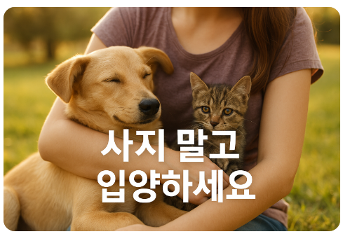 사지 말고 입양하세요(팝업스토어, 비문등록, 펫티켓)