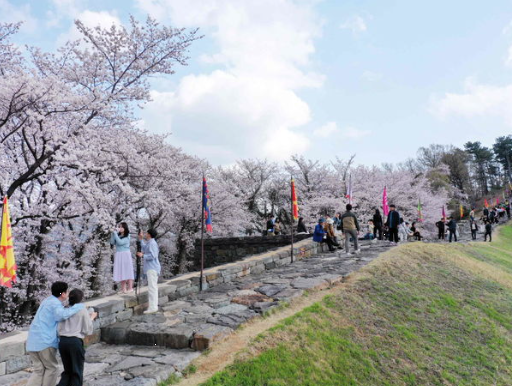 밀양 반값 여행 지원금 신청방법