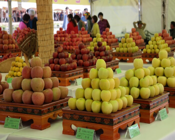 보은 대추축제_9