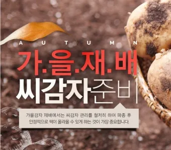 가을감자 심는시기 파종시기와 재배법_21