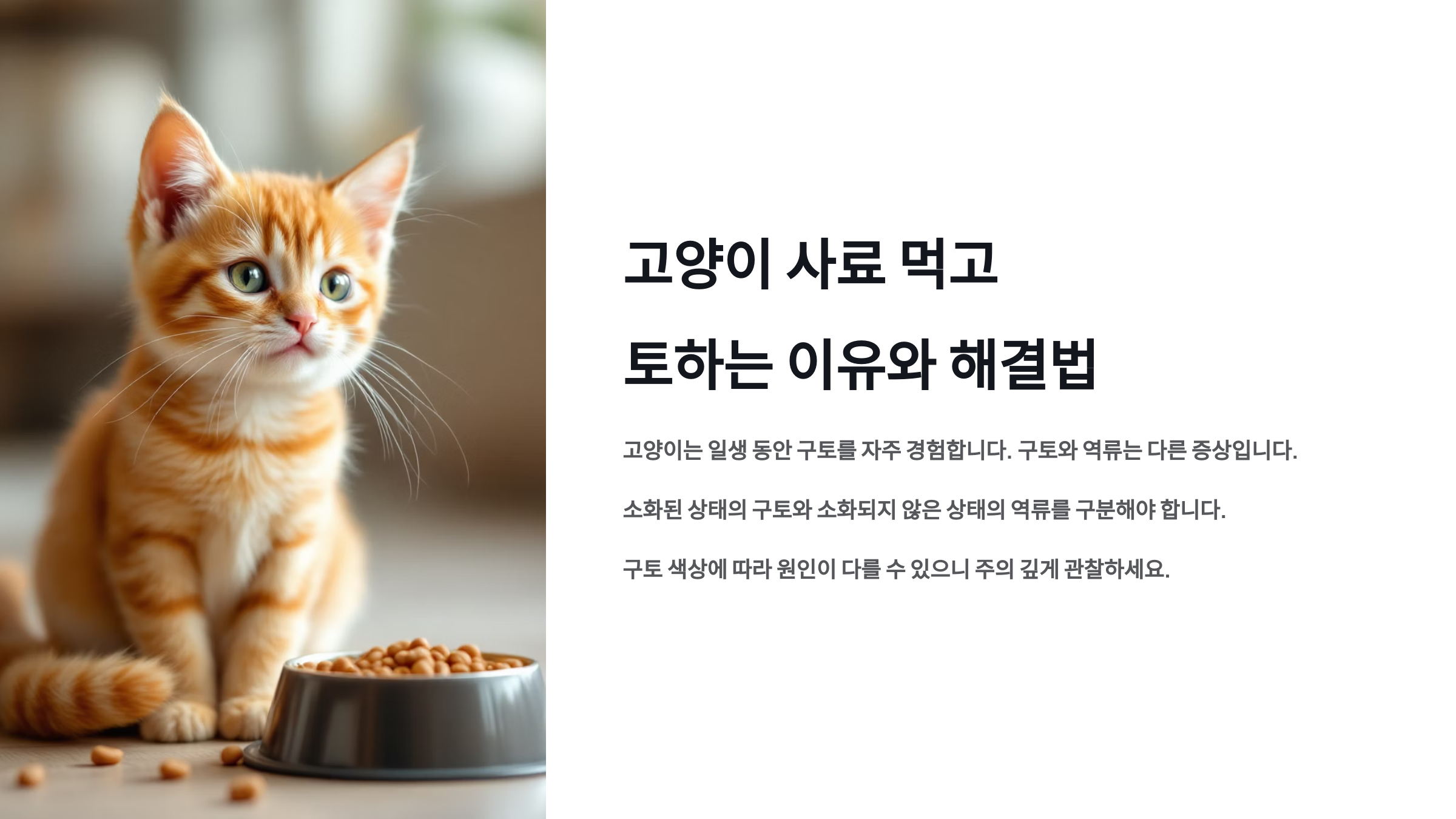 고양이 사료 먹고 토하는 이유는? 증상별 원인과 해결법 총정리