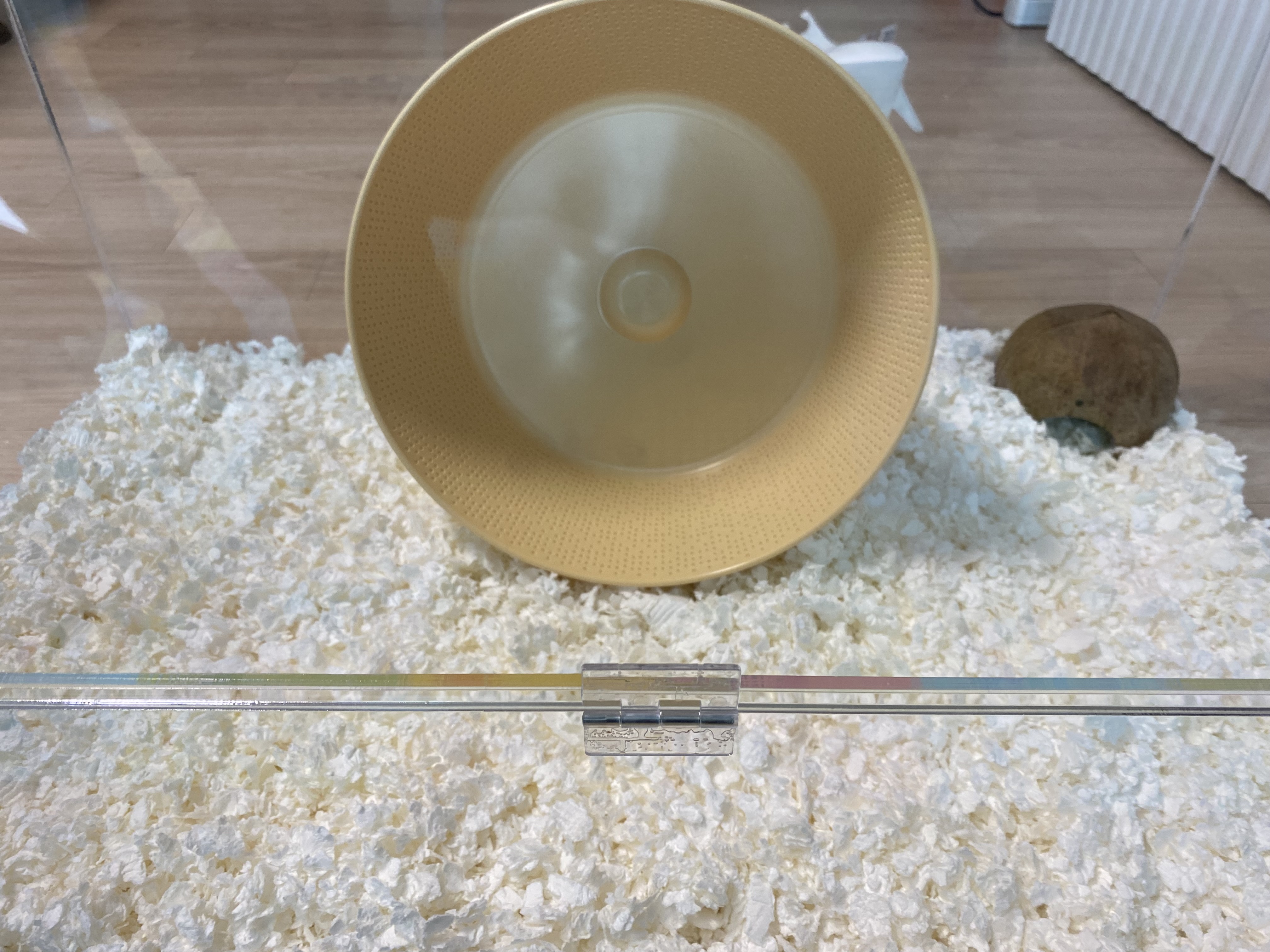 집준비 완료