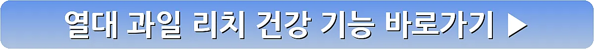 열대 과일 리치 건강 기능_11