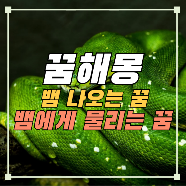 벰에게 물리는 꿈