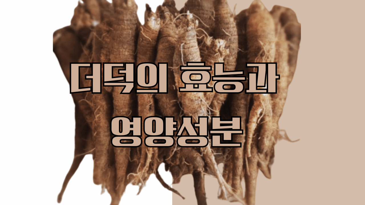 호흡기 질환에 좋은 더덕의 다양한 효능과 영양성분 더덕 맛있게 먹는 방법 손질방법 고추장 양념 더덕구이 주의할 점