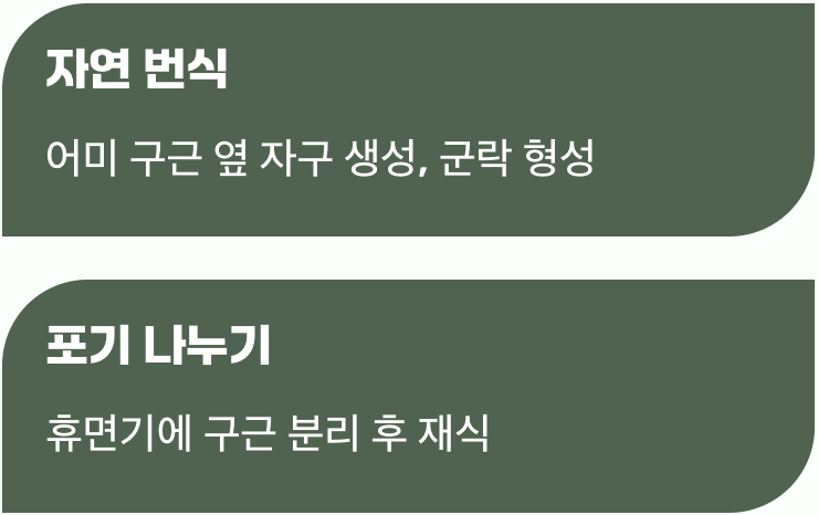 저절로 늘어나는 기쁨, 번식