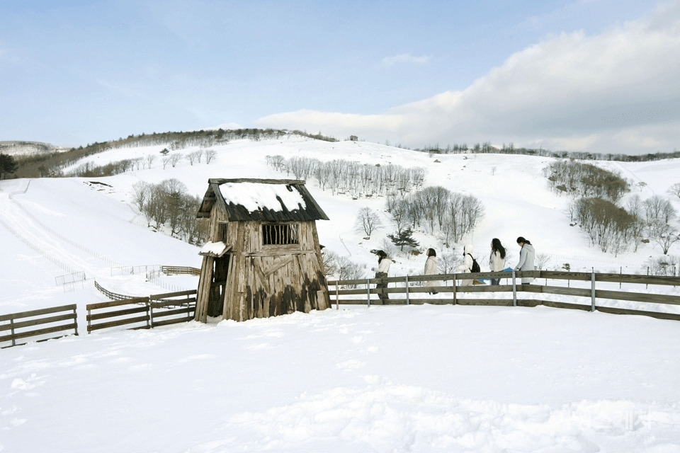 강원도 겨울 여행 명소 추천, 설경·자연·산행 BEST 4