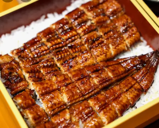 생방송투데이 인정맛집 서울 장어덮밥 Best3