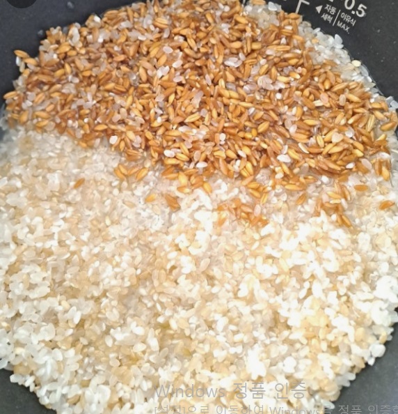 파로쌀-파로-효능-혈당다이어트-파로밥