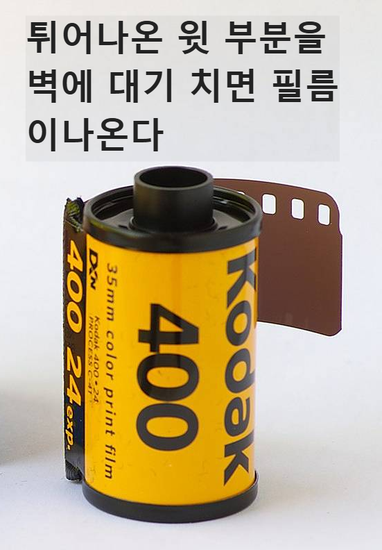 필름 현상