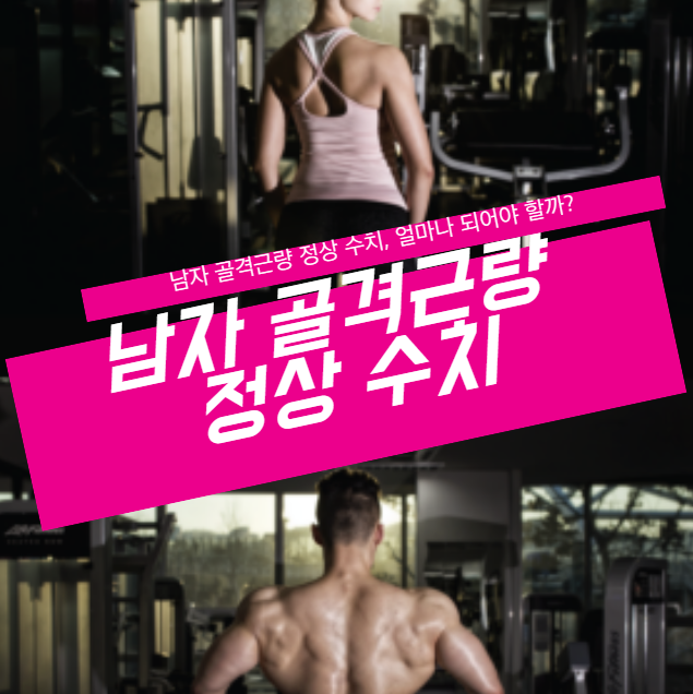 🔍 남자 골격근량 정상 수치, 얼마나 되어야 할까?