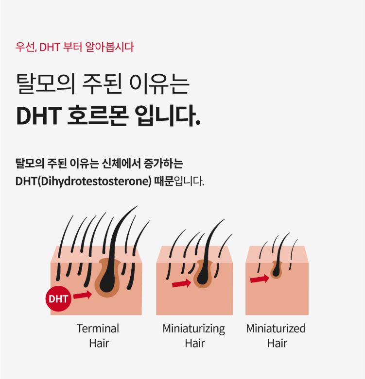DHT-X