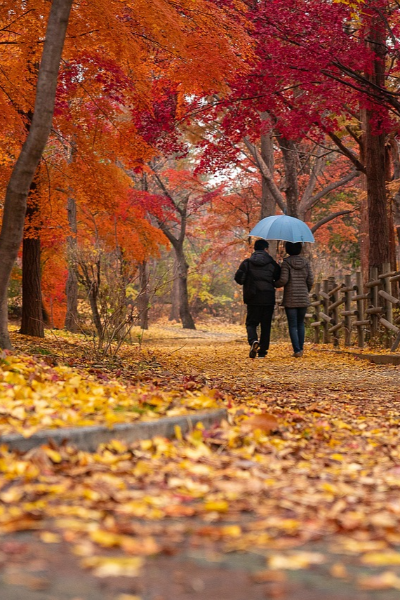 웰니스여행, 디지털디톡스, 무알콜여행