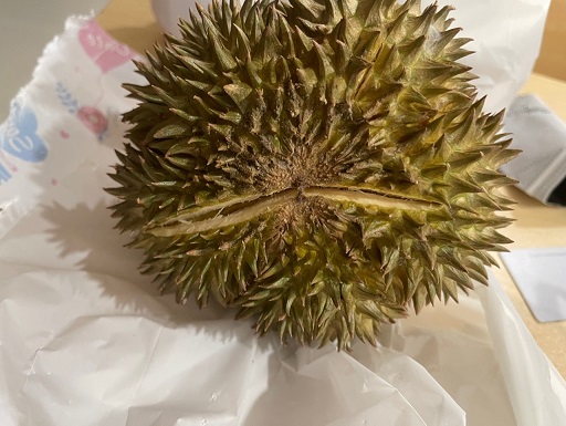 두리안 쉽게 까는 방법 설명 1