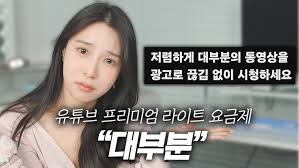 유튜브 프리미엄 라이트